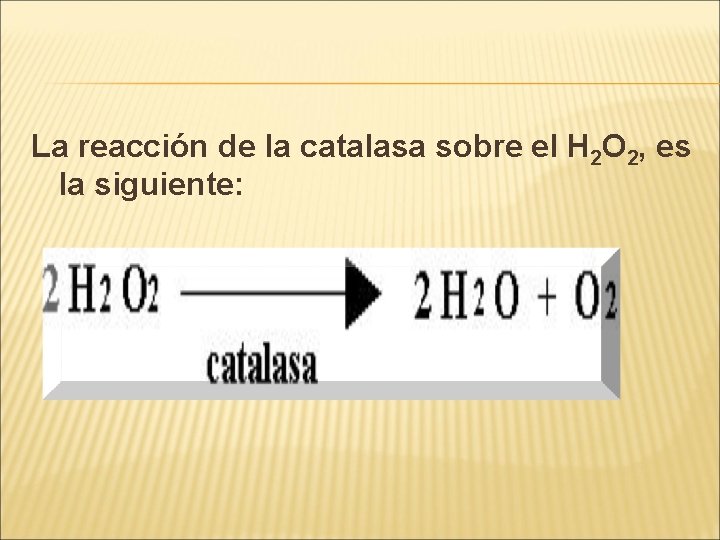 La reacción de la catalasa sobre el H 2 O 2, es la siguiente:
