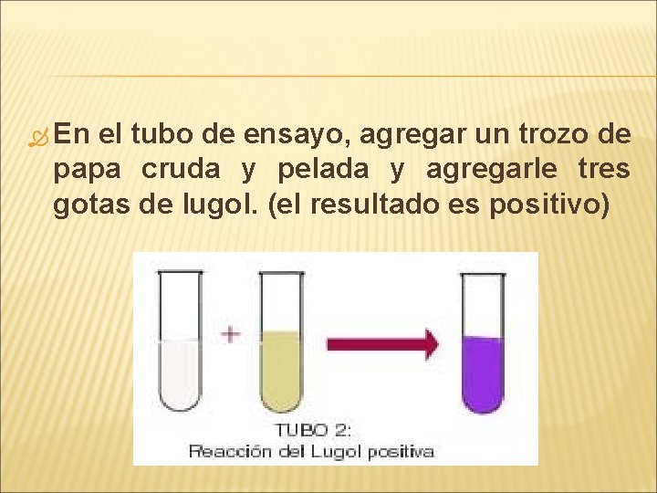  En el tubo de ensayo, agregar un trozo de papa cruda y pelada