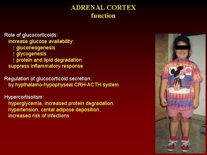 ADRENAL CORTEX function Role of glucocorticoids: increase glucose availability: ↑ gluconeogenesis ↑ glycogenesis ↑