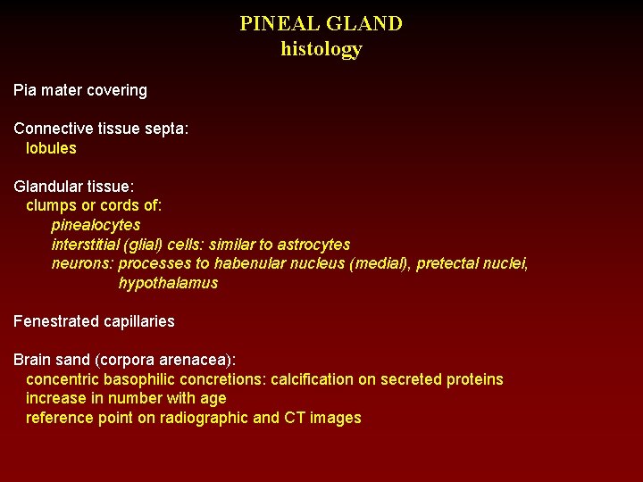 PINEAL GLAND histology Pia mater covering Connective tissue septa: lobules Glandular tissue: clumps or