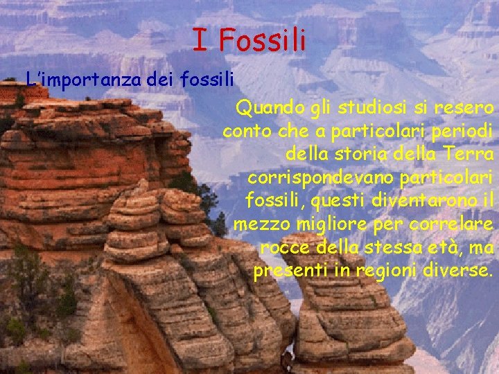 I Fossili L’importanza dei fossili Quando gli studiosi si resero conto che a particolari