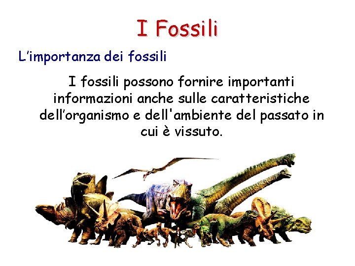 I Fossili L’importanza dei fossili I fossili possono fornire importanti informazioni anche sulle caratteristiche