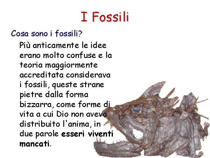 I Fossili Cosa sono i fossili? Più anticamente le idee erano molto confuse e