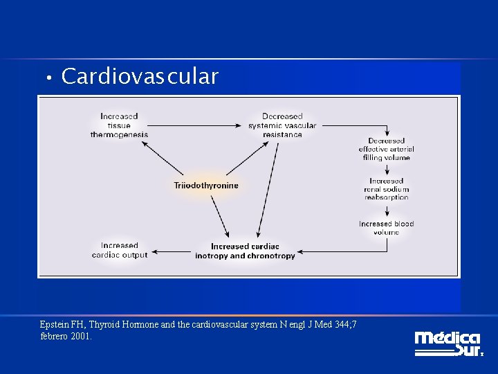  • Cardiovascular Epstein FH, Thyroid Hormone and the cardiovascular system N engl J