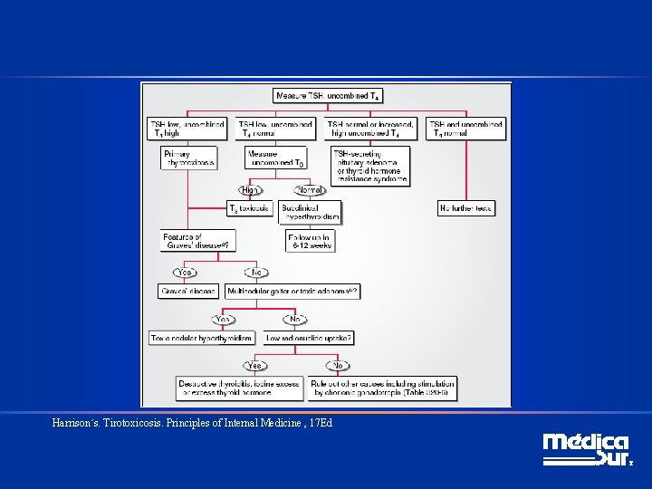 Harrison´s. Tirotoxicosis. Principles of Internal Medicine , 17 Ed 