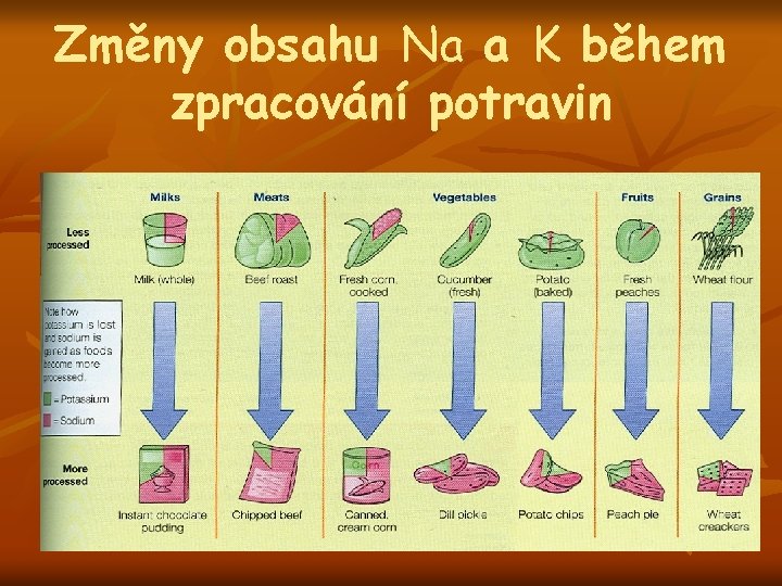 Změny obsahu Na a K během zpracování potravin 