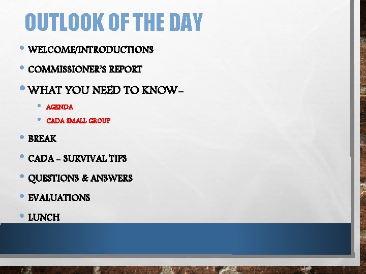 OUTLOOK OF THE DAY • WELCOME/INTRODUCTIONS • COMMISSIONER’S REPORT • WHAT YOU NEED TO