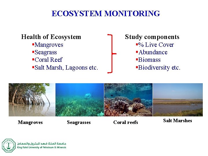 ECOSYSTEM MONITORING Health of Ecosystem §Mangroves §Seagrass §Coral Reef §Salt Marsh, Lagoons etc. Mangroves ECOSYSTEM MONITORING Health of Ecosystem §Mangroves §Seagrass §Coral Reef §Salt Marsh, Lagoons etc. Mangroves