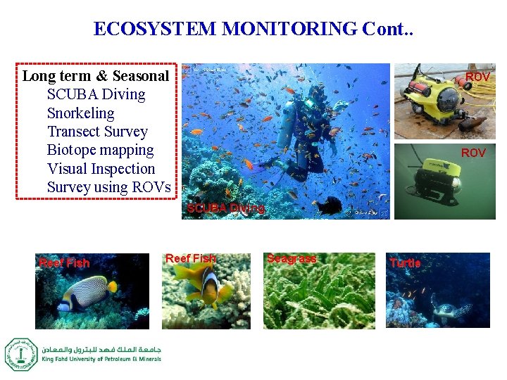 ECOSYSTEM MONITORING Cont. . Long term & Seasonal SCUBA Diving Snorkeling Transect Survey Biotope ECOSYSTEM MONITORING Cont. . Long term & Seasonal SCUBA Diving Snorkeling Transect Survey Biotope