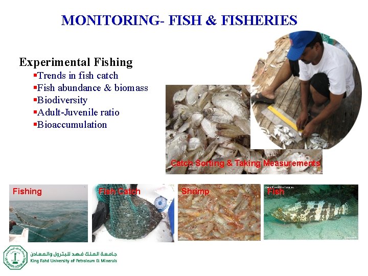 MONITORING- FISH & FISHERIES Experimental Fishing §Trends in fish catch §Fish abundance & biomass MONITORING- FISH & FISHERIES Experimental Fishing §Trends in fish catch §Fish abundance & biomass