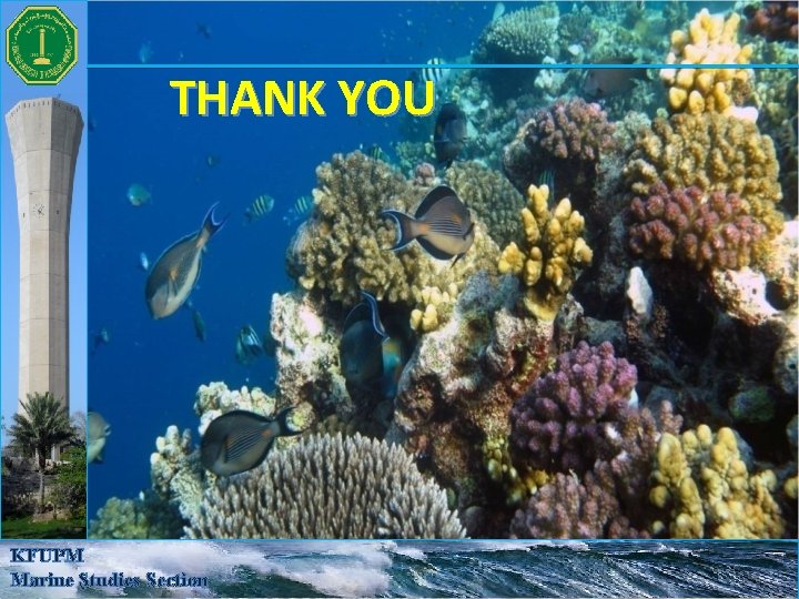 THANK YOU KFUPM Marine Studies Section THANK YOU KFUPM Marine Studies Section