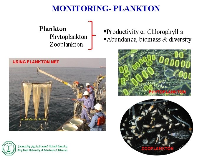 MONITORING- PLANKTON Plankton Phytoplankton Zooplankton §Productivity or Chlorophyll a §Abundance, biomass & diversity USING MONITORING- PLANKTON Plankton Phytoplankton Zooplankton §Productivity or Chlorophyll a §Abundance, biomass & diversity USING
