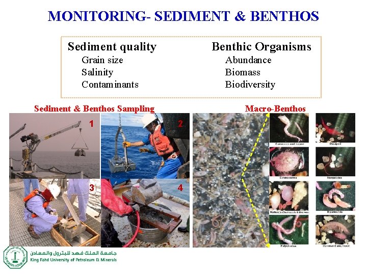 MONITORING- SEDIMENT & BENTHOS Sediment quality Benthic Organisms Grain size Salinity Contaminants Abundance Biomass MONITORING- SEDIMENT & BENTHOS Sediment quality Benthic Organisms Grain size Salinity Contaminants Abundance Biomass