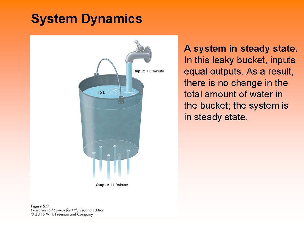 System Dynamics A system in steady state. In this leaky bucket, inputs equal outputs.