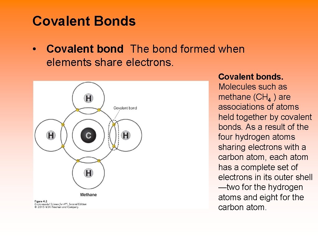Covalent Bonds • Covalent bond The bond formed when elements share electrons. Covalent bonds.