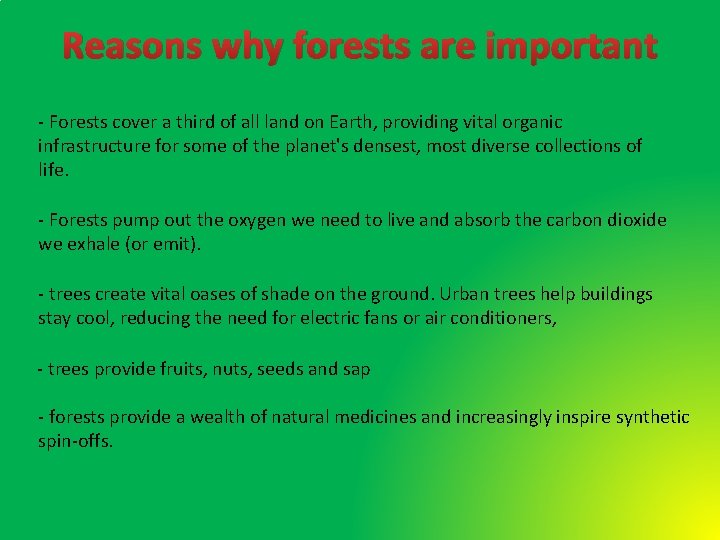 Reasons why forests are important - Forests cover a third of all land on