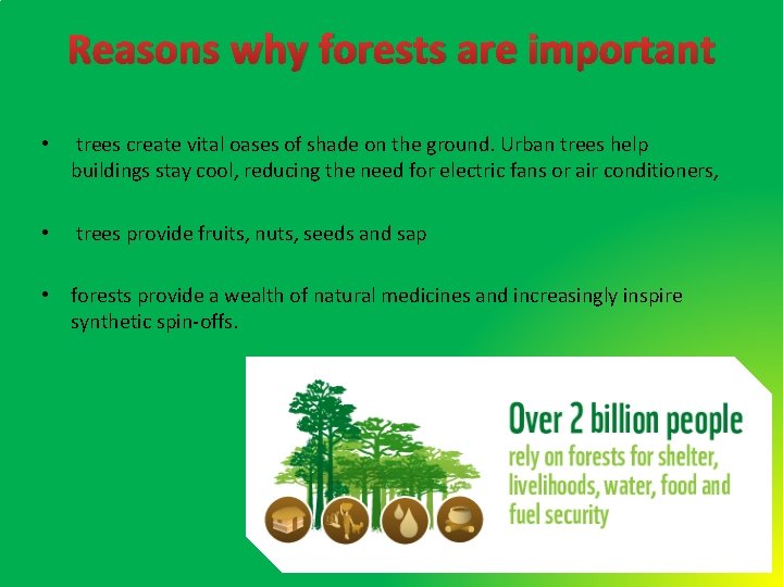 Reasons why forests are important • trees create vital oases of shade on the