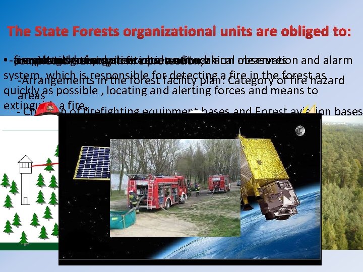 The State Forests organizational units are obliged to: • - create and keep system