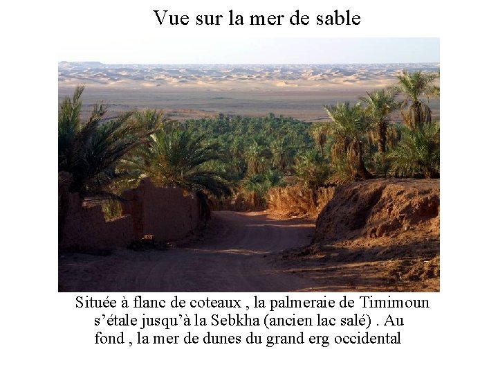 Vue sur la mer de sable Située à flanc de coteaux , la palmeraie