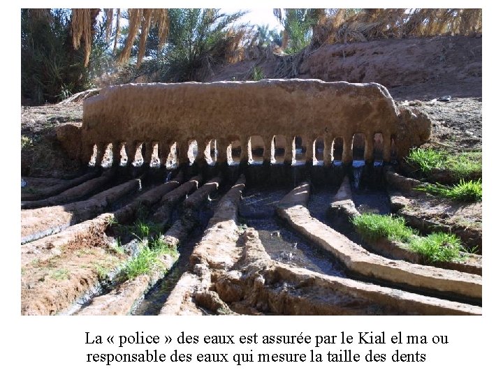  La « police » des eaux est assurée par le Kial el ma