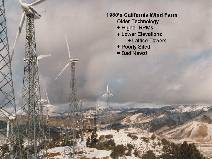 1980’s California Wind Farm Older Technology + Higher RPMs + Lower Elevations + Lattice