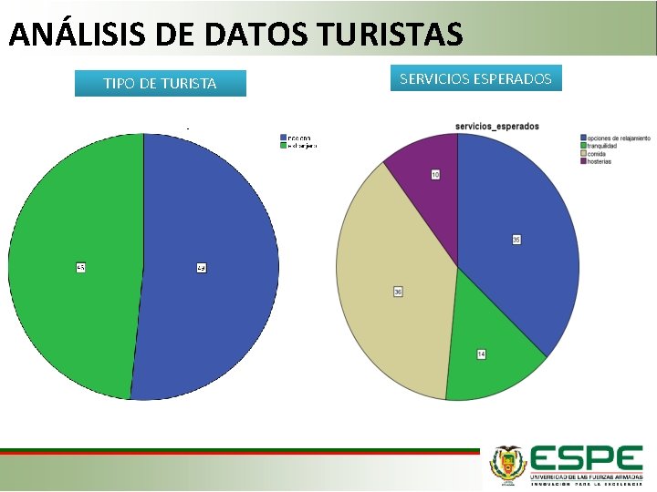 ANÁLISIS DE DATOS TURISTAS TIPO DE TURISTA SERVICIOS ESPERADOS 