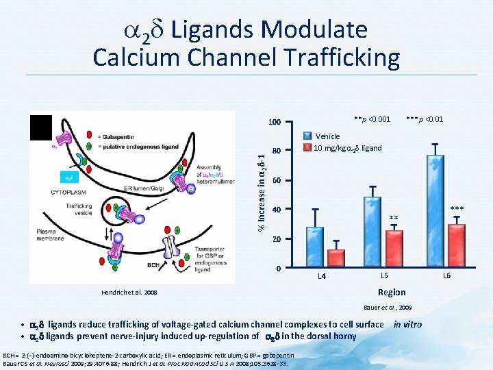  2 Ligands Modulate Calcium Channel Trafficking **p <0. 001 ***p <0. 01 %