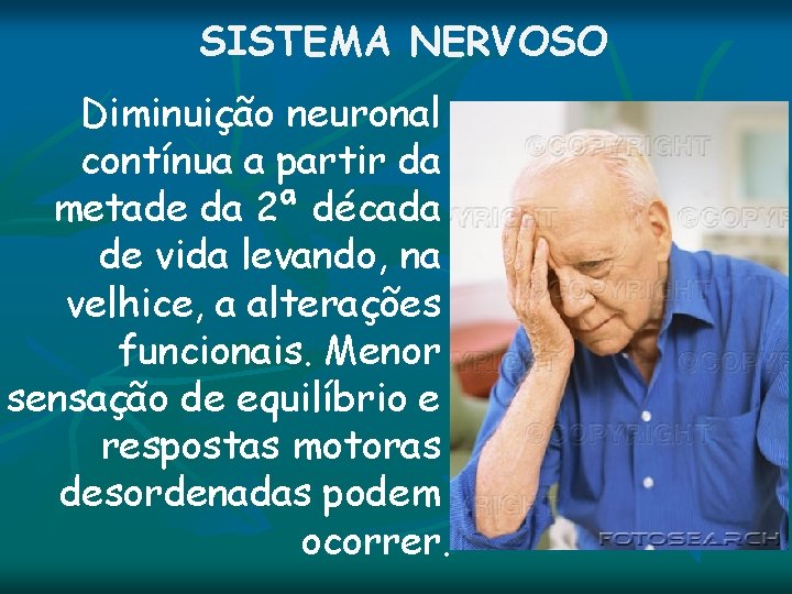 SISTEMA NERVOSO Diminuição neuronal contínua a partir da metade da 2ª década de vida SISTEMA NERVOSO Diminuição neuronal contínua a partir da metade da 2ª década de vida