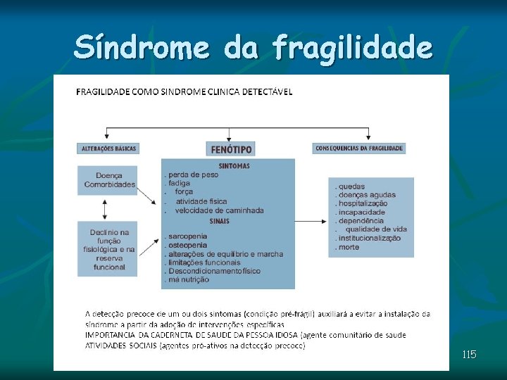 Síndrome da fragilidade 115 Síndrome da fragilidade 115