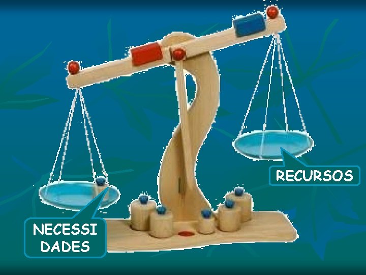 RECURSOS NECESSI DADES RECURSOS NECESSI DADES