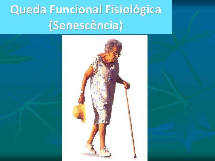 Queda Funcional Fisiológica (Senescência) Queda Funcional Fisiológica (Senescência)