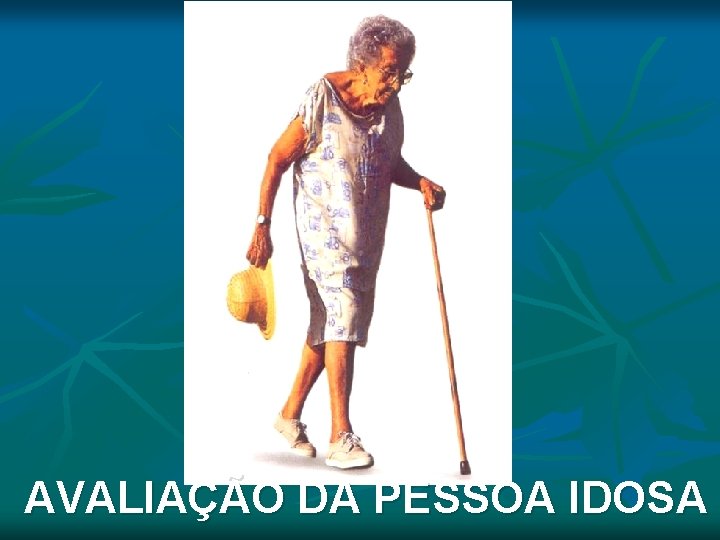 AVALIAÇÃO DA PESSOA IDOSA AVALIAÇÃO DA PESSOA IDOSA