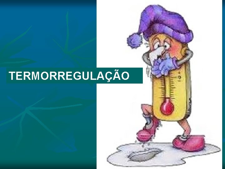 TERMORREGULAÇÃO TERMORREGULAÇÃO