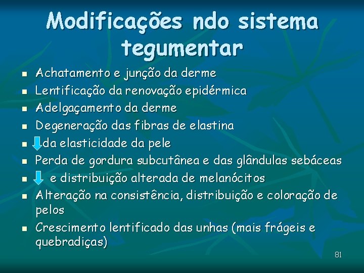 Modificações ndo sistema tegumentar n n n n n Achatamento e junção da derme Modificações ndo sistema tegumentar n n n n n Achatamento e junção da derme