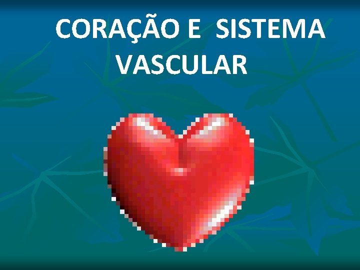 CORAÇÃO E SISTEMA VASCULAR CORAÇÃO E SISTEMA VASCULAR