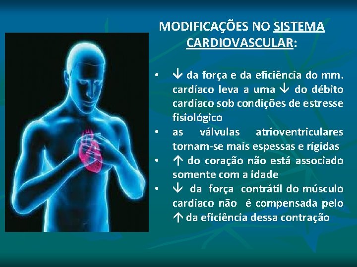 MODIFICAÇÕES NO SISTEMA CARDIOVASCULAR: • • da força e da eficiência do mm. cardíaco MODIFICAÇÕES NO SISTEMA CARDIOVASCULAR: • • da força e da eficiência do mm. cardíaco
