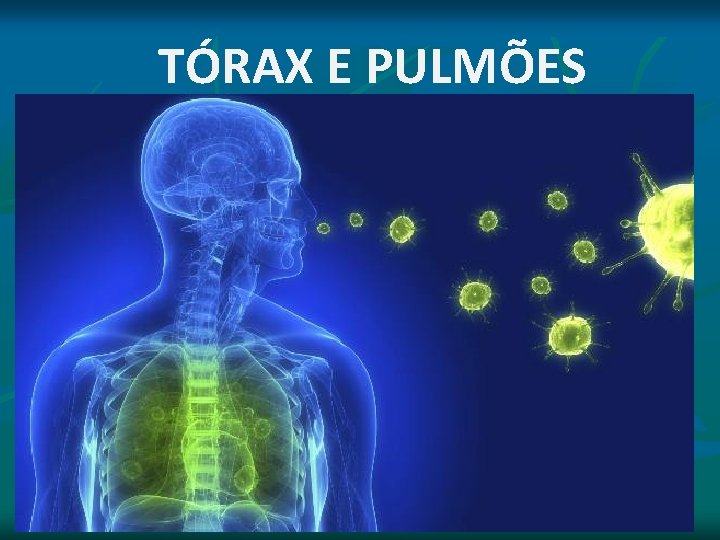 TÓRAX E PULMÕES TÓRAX E PULMÕES