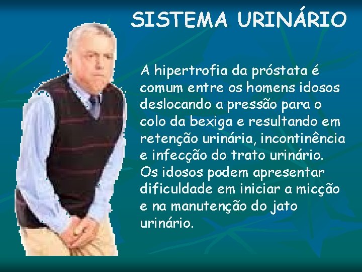 SISTEMA URINÁRIO A hipertrofia da próstata é comum entre os homens idosos deslocando a SISTEMA URINÁRIO A hipertrofia da próstata é comum entre os homens idosos deslocando a