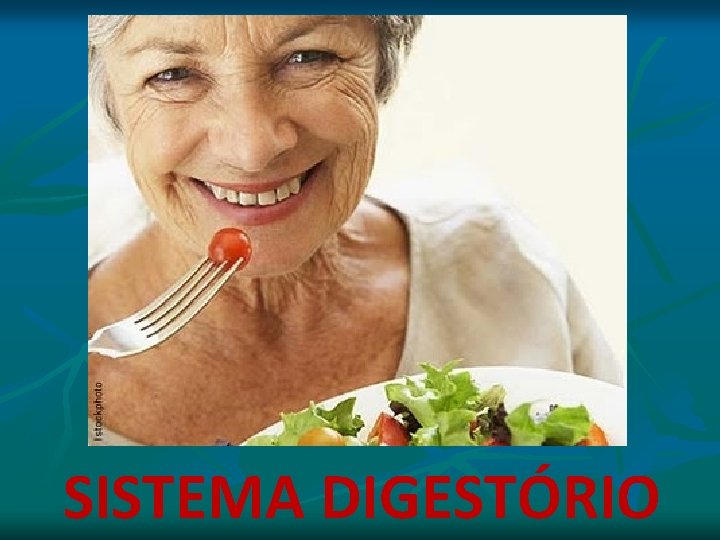 SISTEMA DIGESTÓRIO SISTEMA DIGESTÓRIO