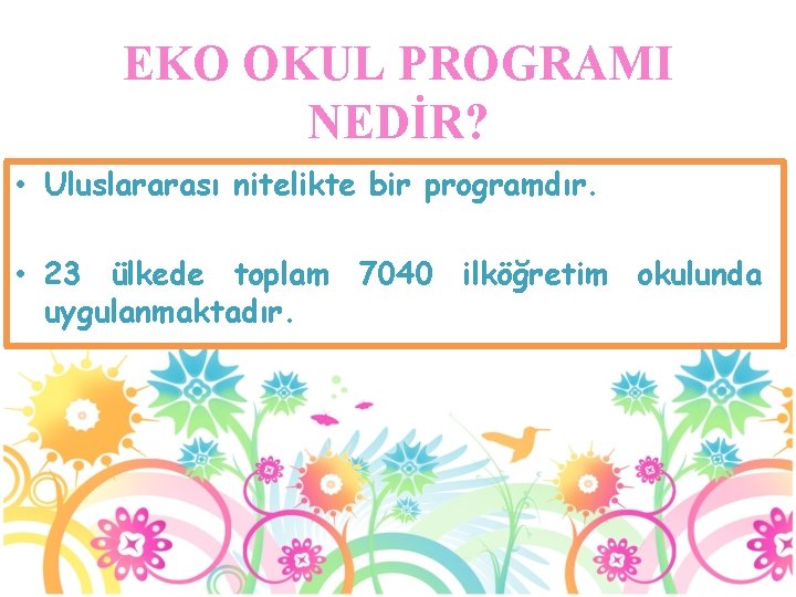 EKO OKUL PROGRAMI NEDİR? • Uluslararası nitelikte bir programdır. • 23 ülkede toplam 7040