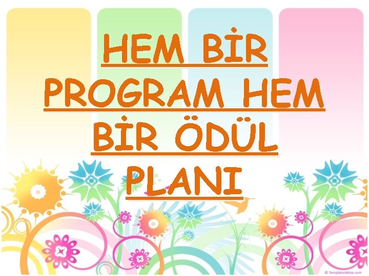 HEM BİR PROGRAM HEM BİR ÖDÜL PLANI 