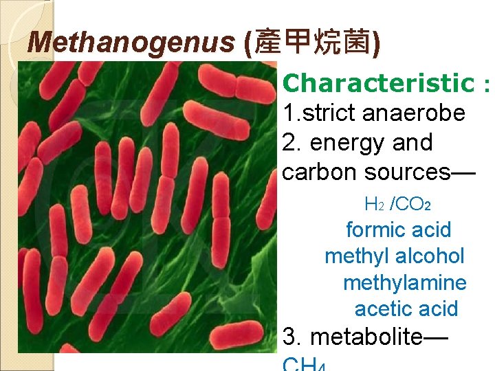 Methanogenus (產甲烷菌) Characteristic： 1. strict anaerobe 2. energy and carbon sources— H 2 /CO