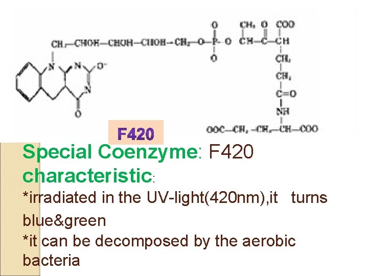 Special Coenzyme: F 420 characteristic: *irradiated in the UV-light(420 nm), it turns blue&green *it