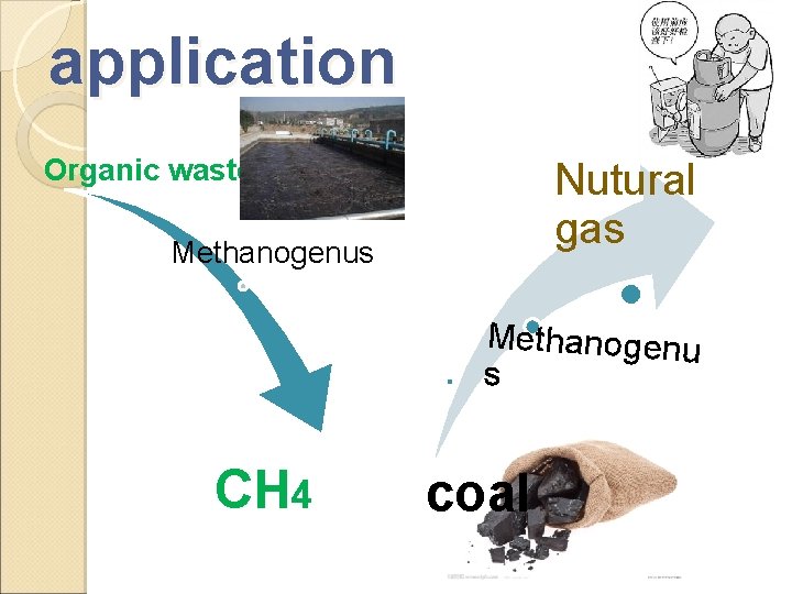 application Organic waste Nutural gas Methanogenu s CH 4 coal 