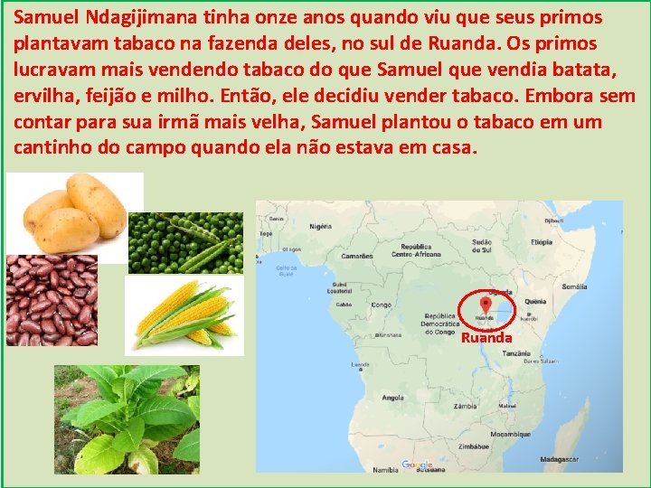 Samuel Ndagijimana tinha onze anos quando viu que seus primos plantavam tabaco na fazenda