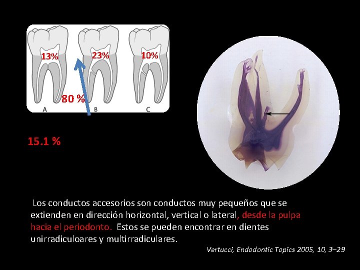 23% 10% 80 % 15. 1 % Los conductos accesorios son conductos muy pequeños