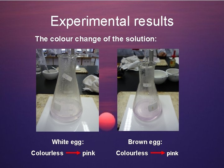 Experimental results The colour change of the solution: White egg: Brown egg: Colourless pink