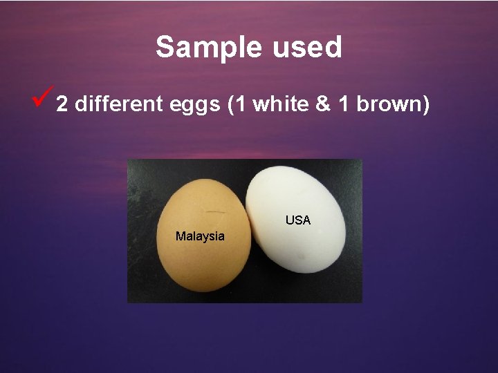 Sample used ü 2 different eggs (1 white & 1 brown) USA Malaysia 