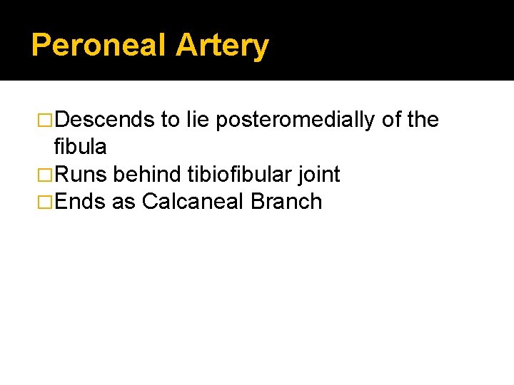 Peroneal Artery �Descends to lie posteromedially of the fibula �Runs behind tibiofibular joint �Ends