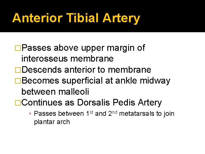 Anterior Tibial Artery �Passes above upper margin of interosseus membrane �Descends anterior to membrane
